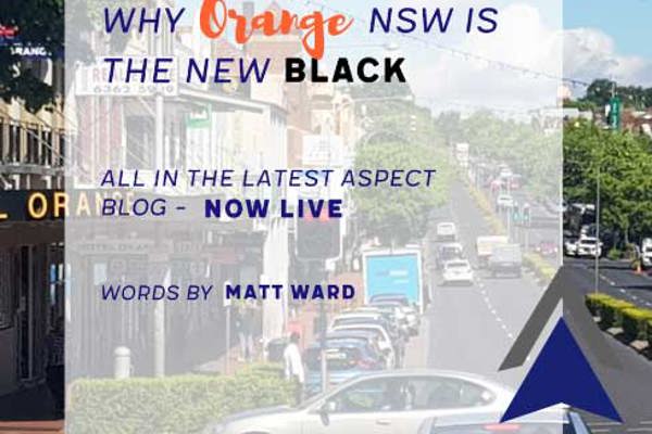 Why Orange is the New Black!